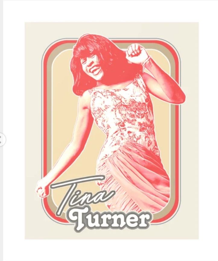  'Tina Turner - A Life in Music' 