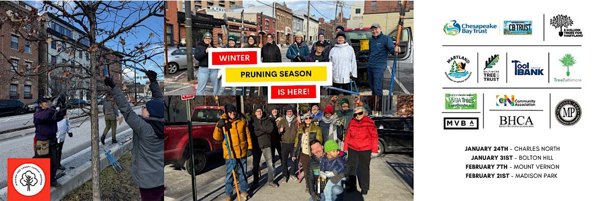 Mount Vernon Pruning