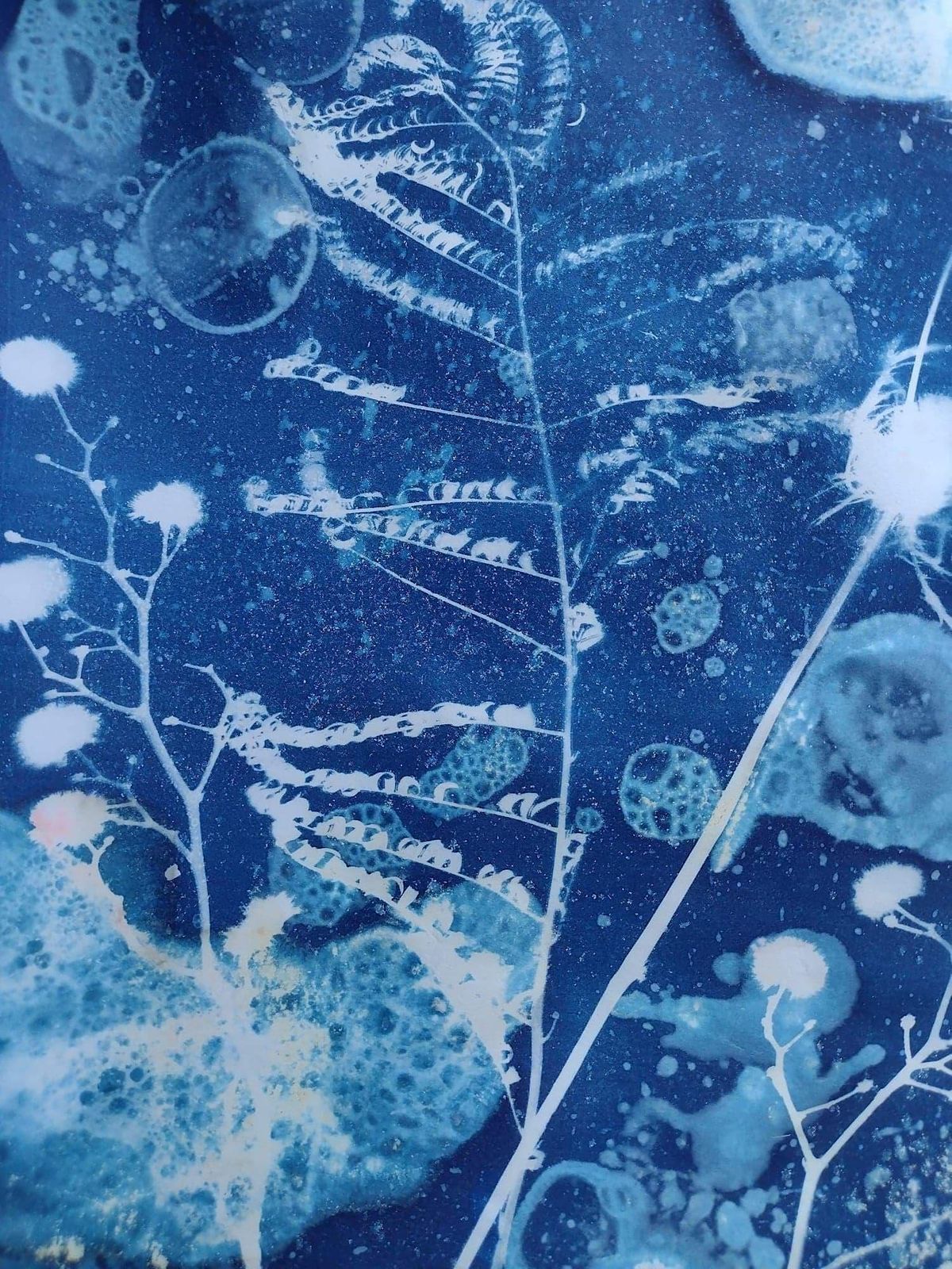 Cyanotype printing with fabric and paper SLR