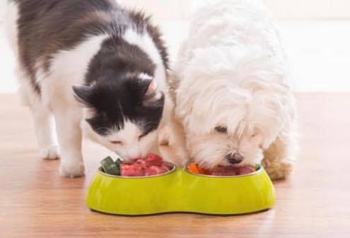 Pet Food Distribution