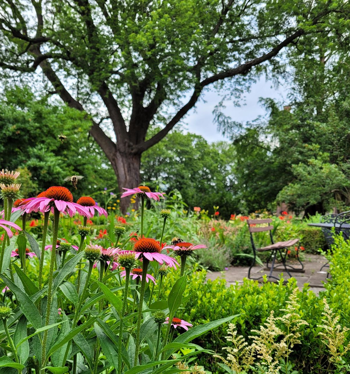 Ten Broeck Mansion Gardening & Community Clean-Up Days