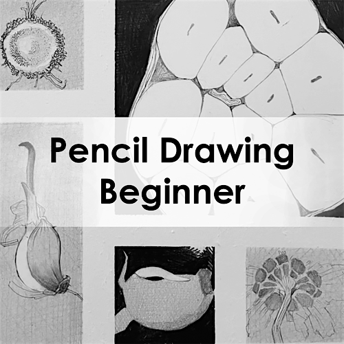 Pencil Drawing for Adults | Beginner