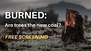 One World Films and Conversations: Burned-Are Trees The New Coal?