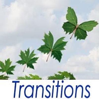 Transitions - Exeter Community Initiatives