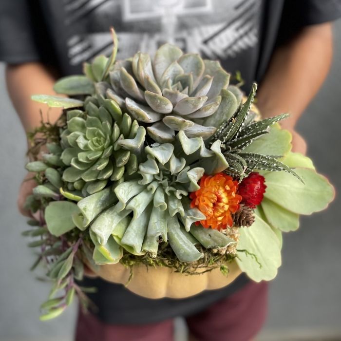 Succulent Pumpkin Workshop 