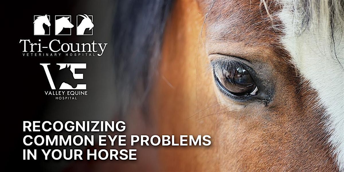 FREE Dinner\/Education Event: Recognizing Common Eye Problems in Your Horse