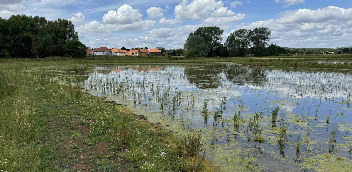 We Need to Talk about Sewage