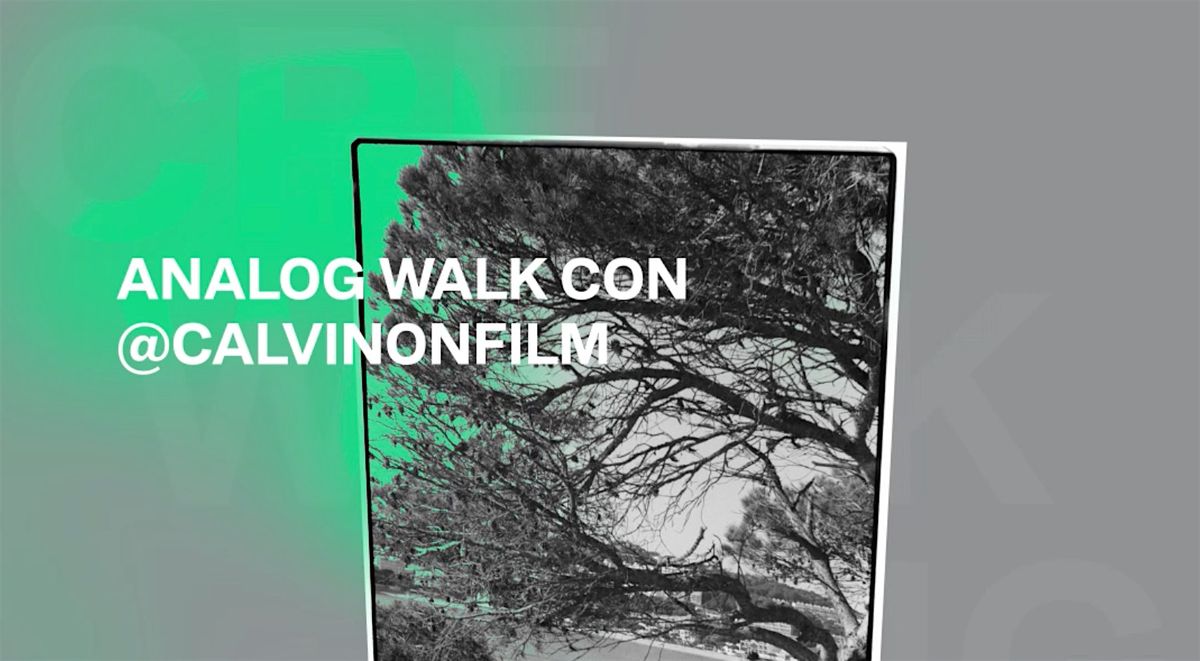 Analog Walk con @Calvinonfilm