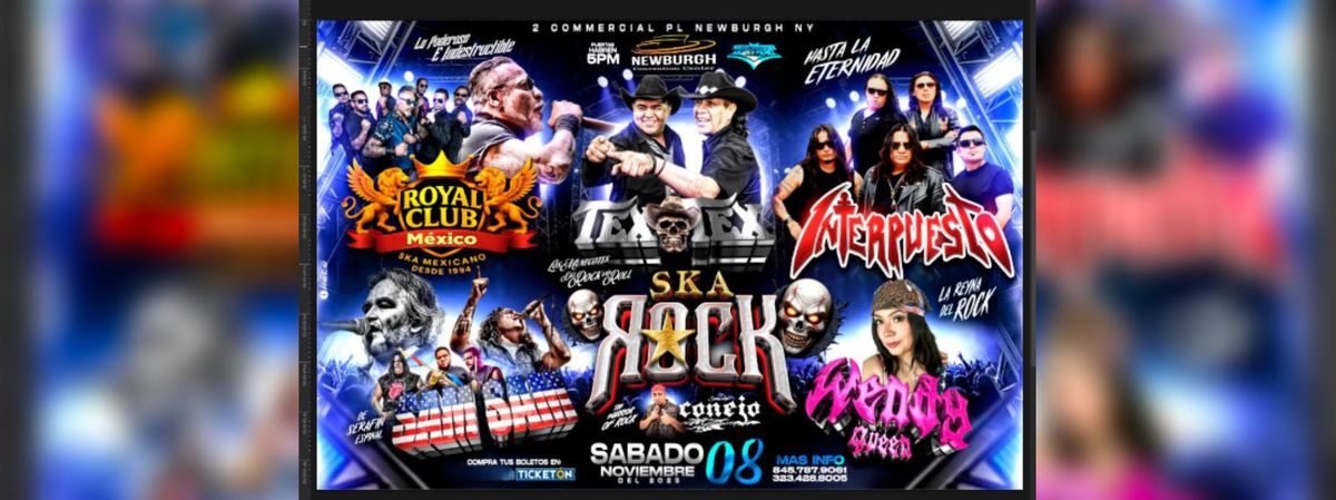 ROYAL CLUB, TEX TEX, INTERPUESTO & M\u00c1S