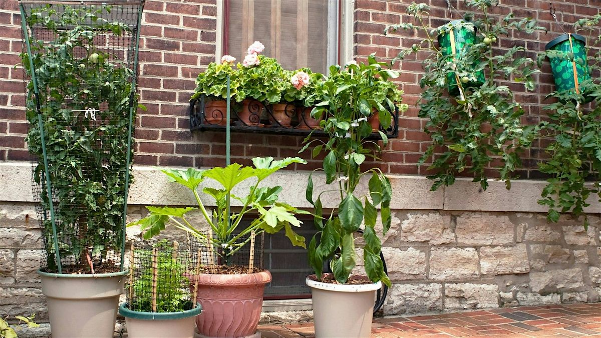 Container Gardening 101