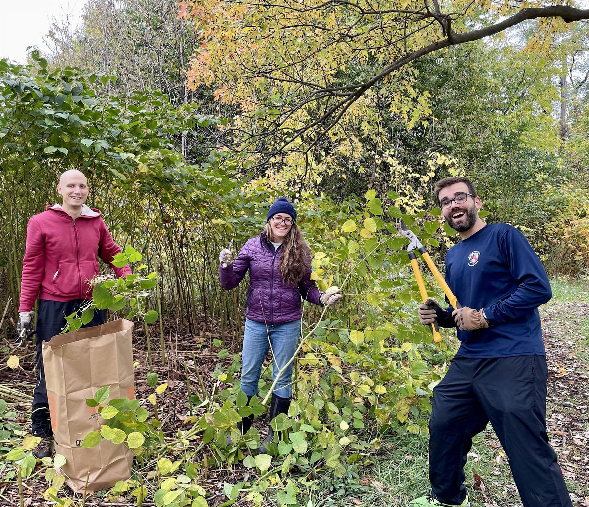 Volunteer Event: Palmer Park Fall Clean Up