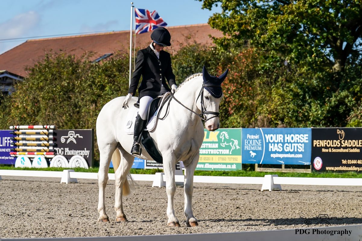 BD and Unaffiliated Dressage,Thursday 13 February at Golden Cross