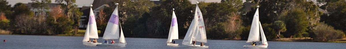 Hobie Wave Sailing - November 2024