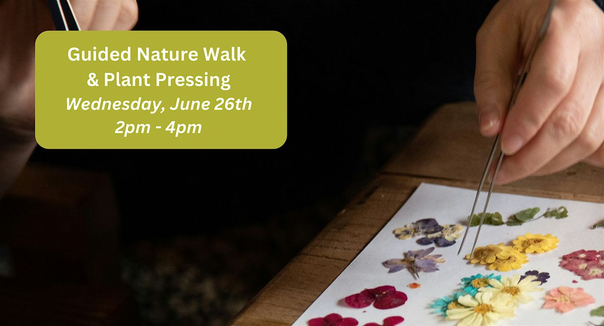 Guided Nature Walk & Plant Pressing  \/\/ 6.26.24