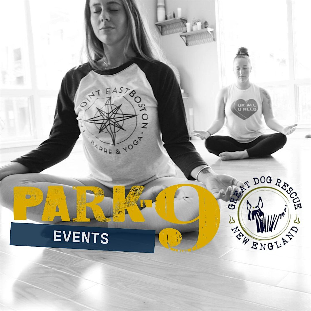 Park-9 Puppy Yoga with Great Dog New England Rescue and The Point EB