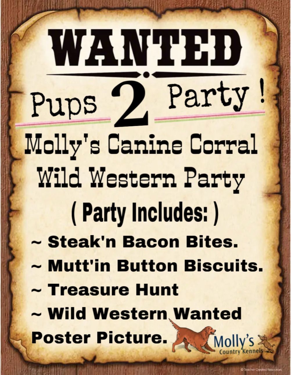 Wild Western Party