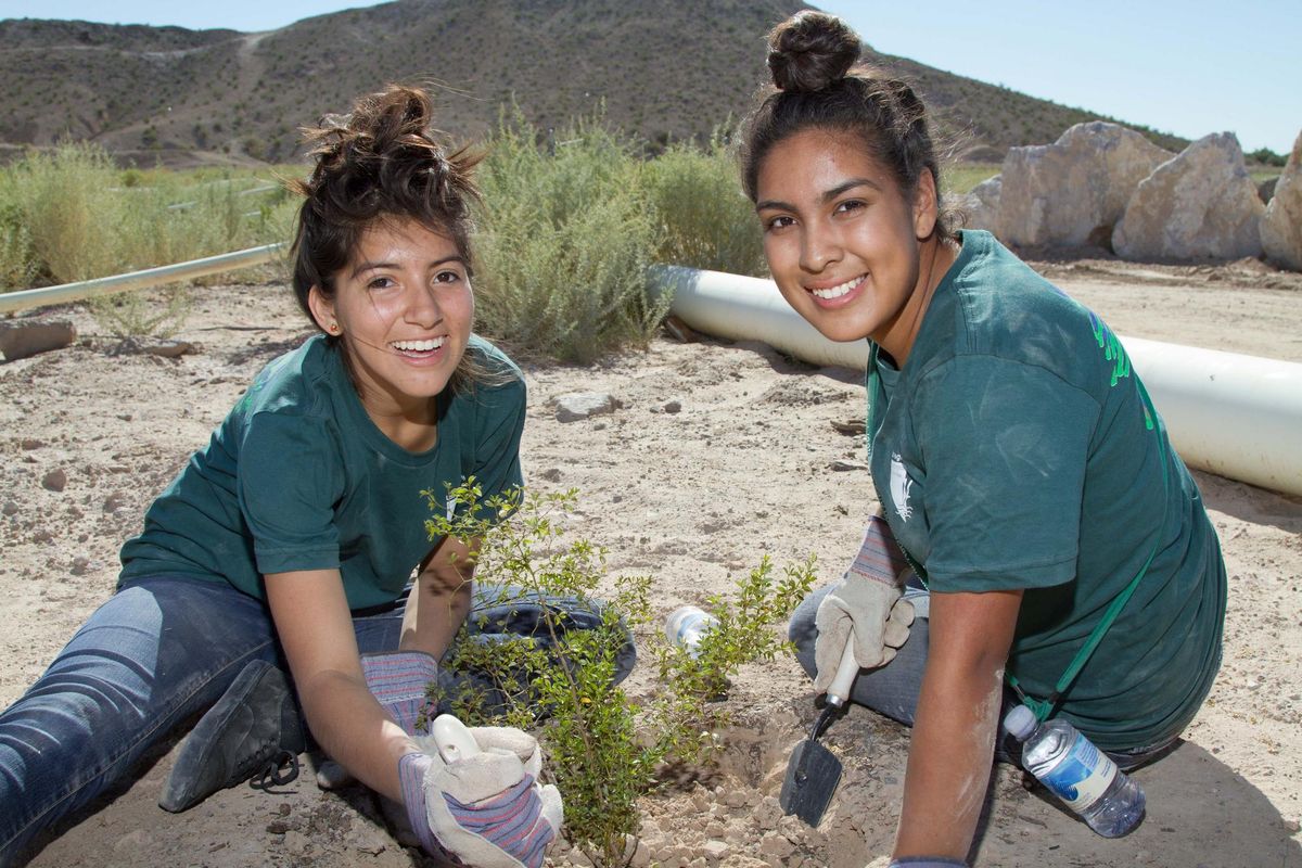 Las Vegas Wash Green-Up