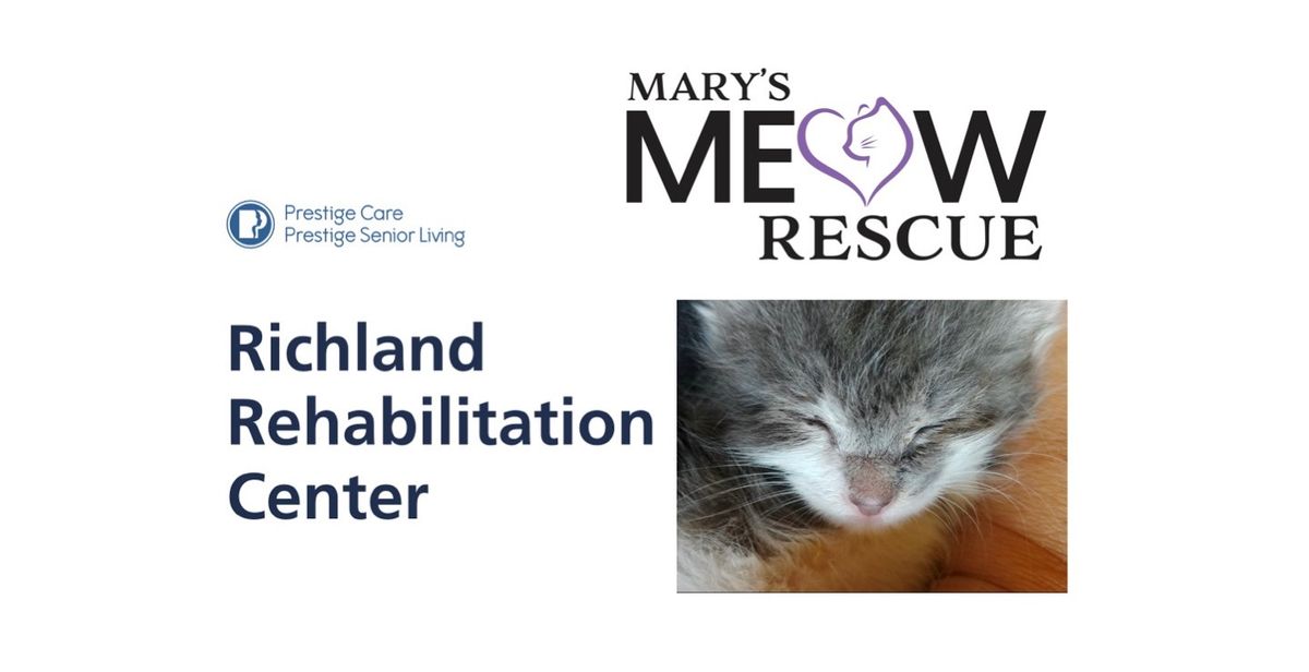 Kitten visit to Richland Rehabilitation Center