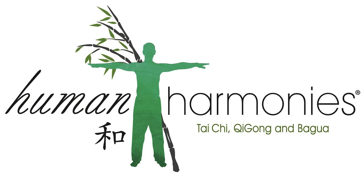 Introduction to Tai Chi, Private lessons