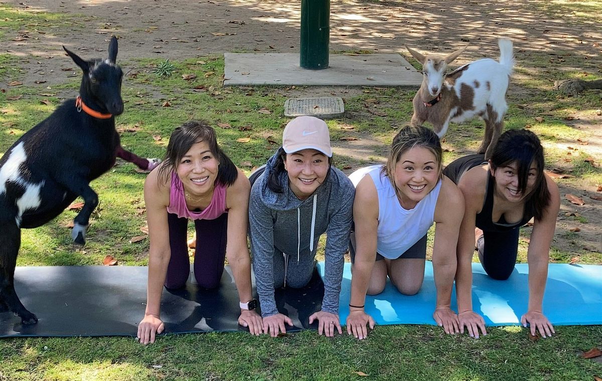 Goat Yoga in the Park - September 8th at 9:00am