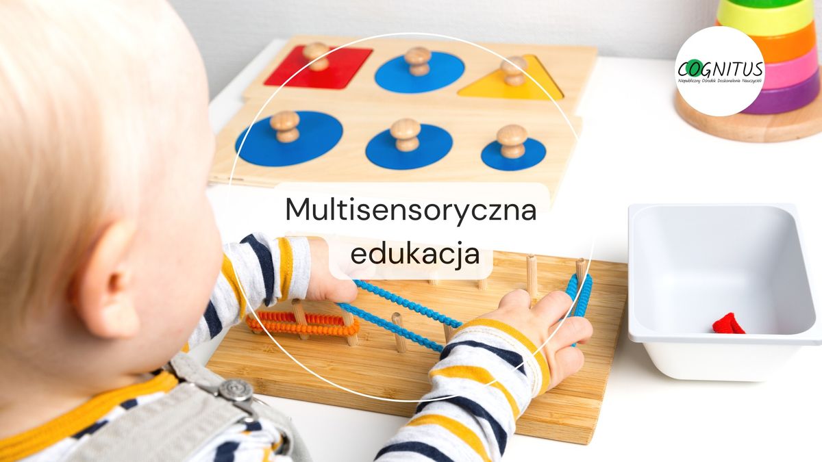 Multisensoryczna edukacja - Wroc\u0142aw