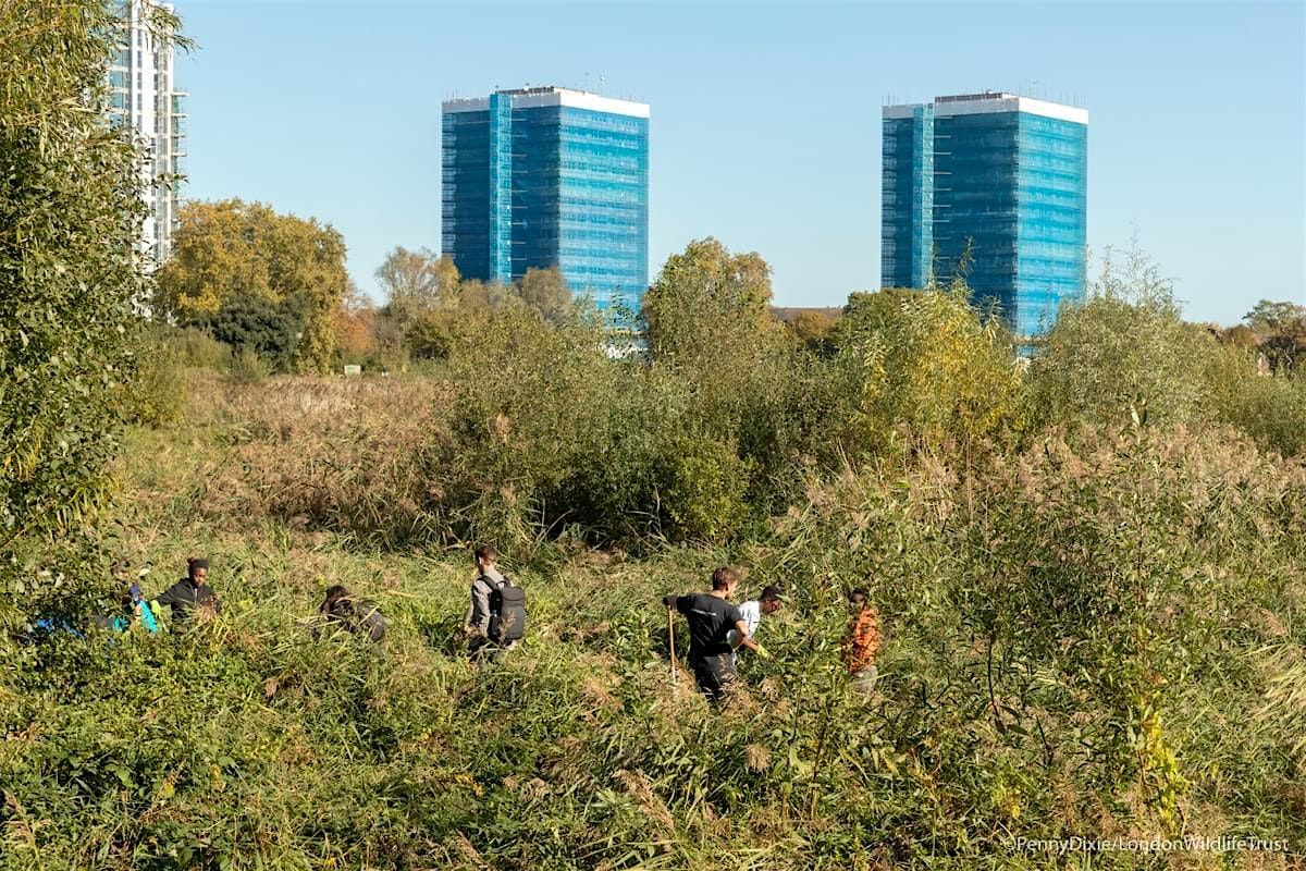 Urban Conservation: guided walk and talk  with the John Muir Trust