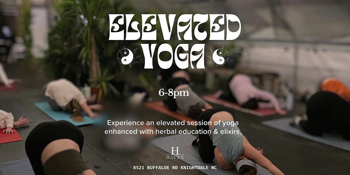 Elevated Yoga