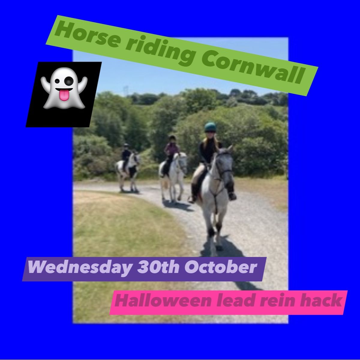 Halloween lead rein hack mini pony day