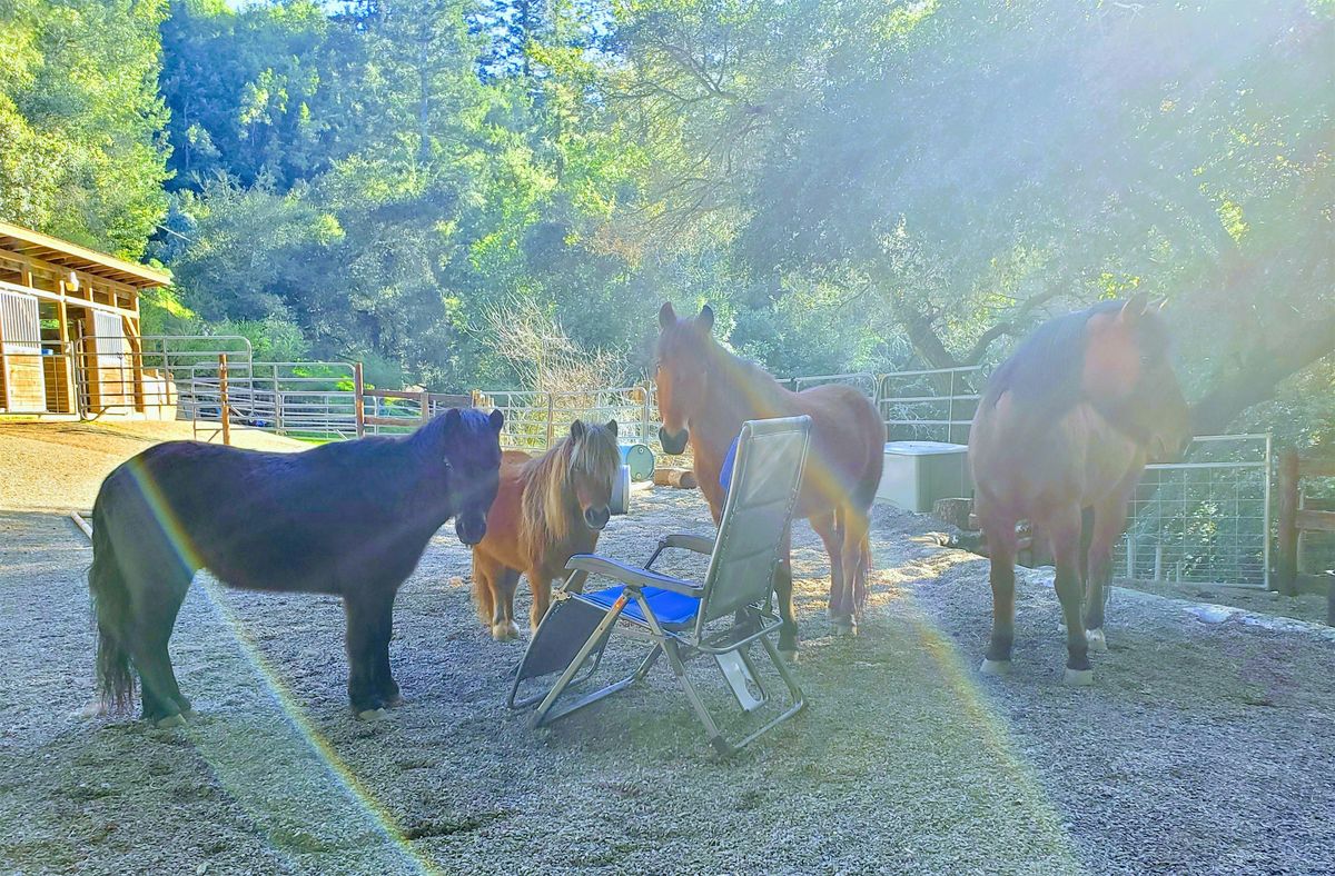 Friendly Trails Horse Rescue Barn Open House & Summer Work Party