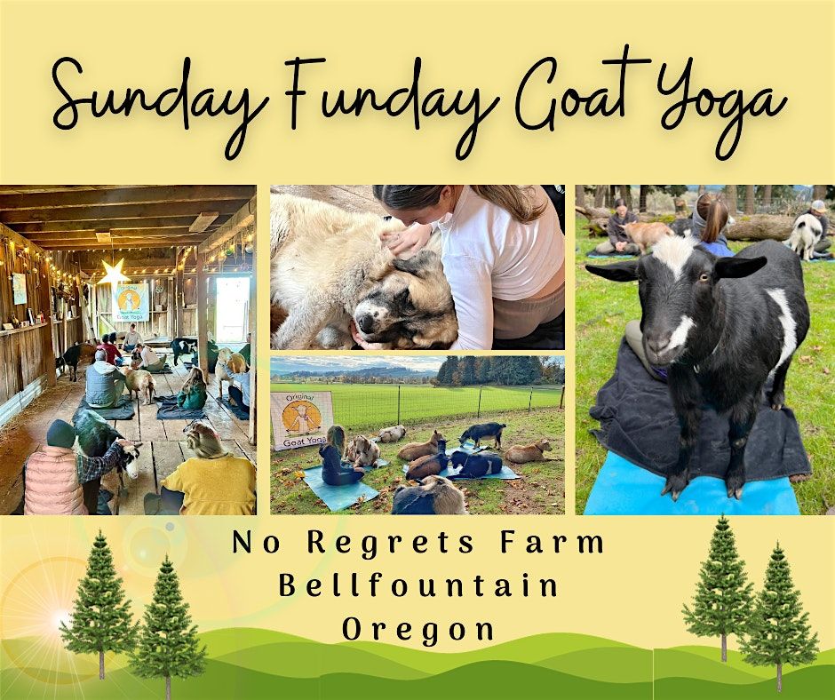 Sunday Funday Goat Yoga