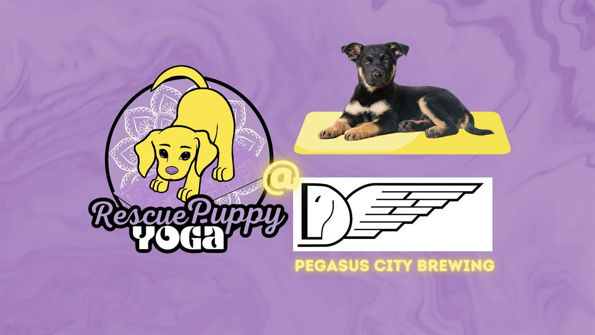 Rescue Puppy Yoga @ Pegasus City Brewing!