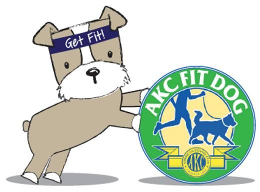 Fit Dog Level 2 w\/ Jen Anderson 