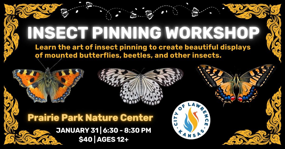 Insect Pinning Workshop 