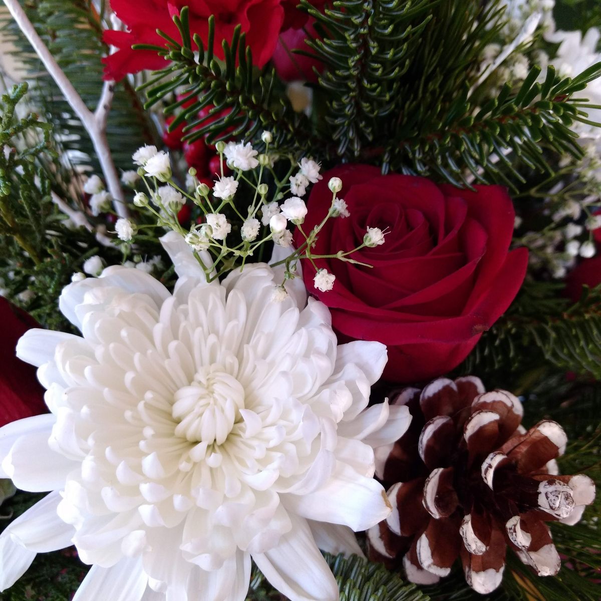 Christmas Centerpiece Workshop @ Modest Roots Brewery