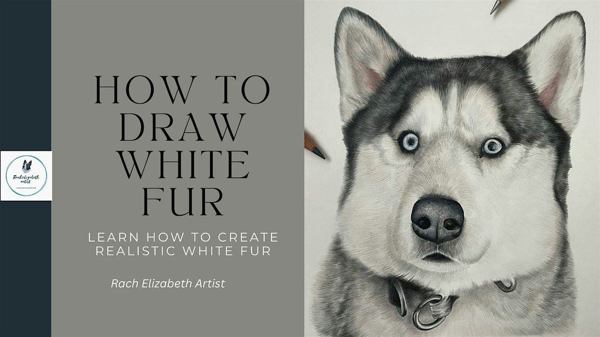 Coloured pencils for beginners-drawing white fur