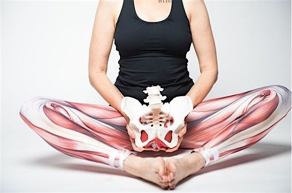 Jellywink SexEd Series: Getting to Know Your Pelvic Floor