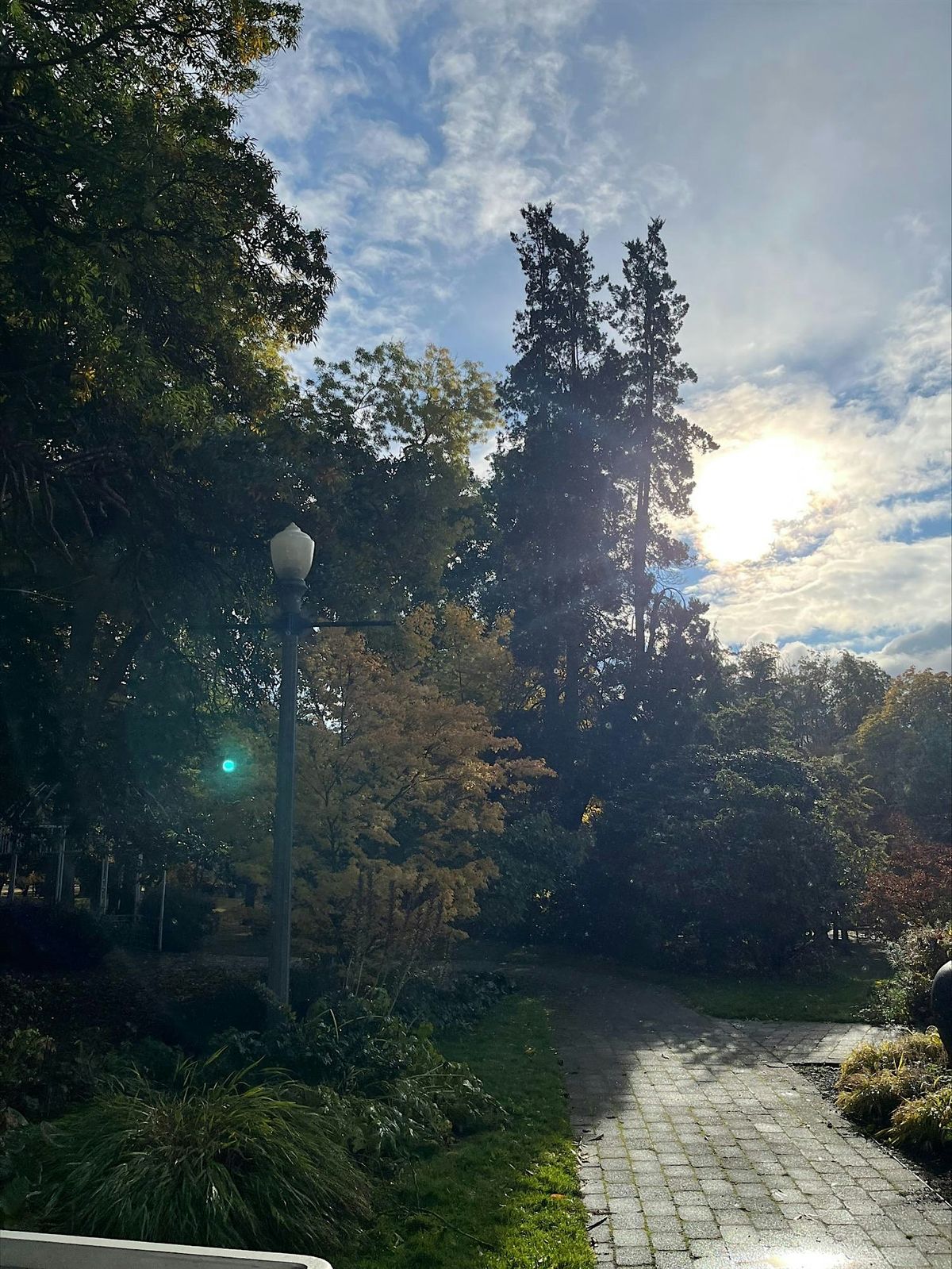 Nature Mindfulness Walks