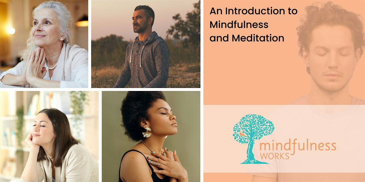 An Introduction to Mindfulness and Meditation 4-Week Course  \u2014 Dunedin