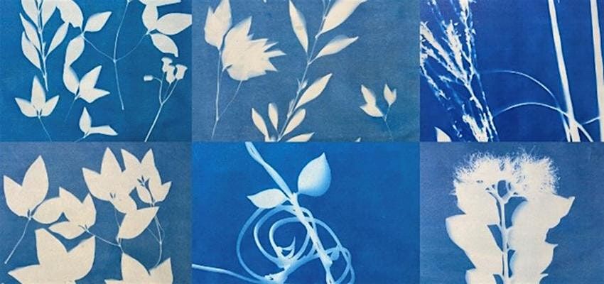 Adult's workshop | Cyanotype photographic printing