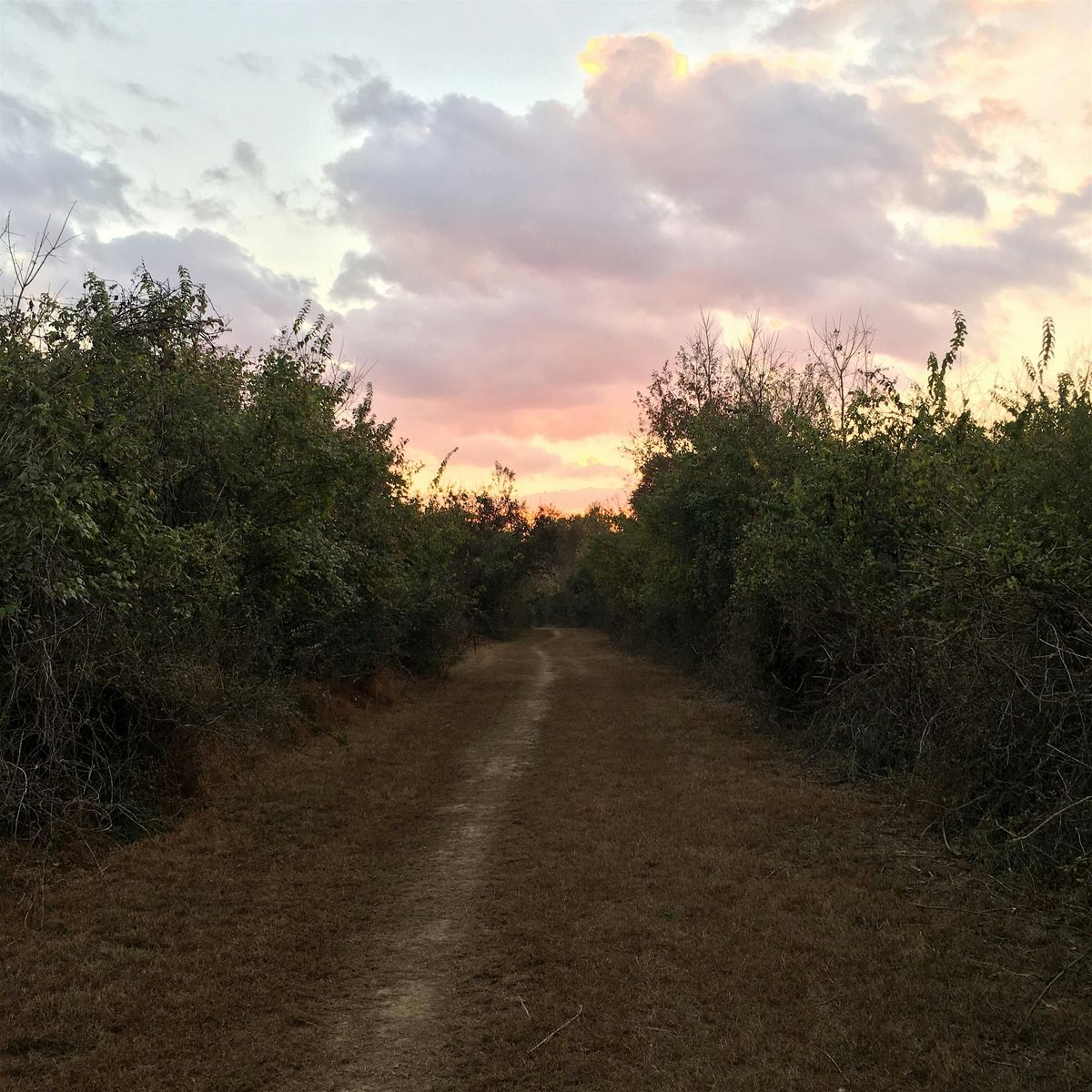 Autumn Sunset-Moonrise Hike