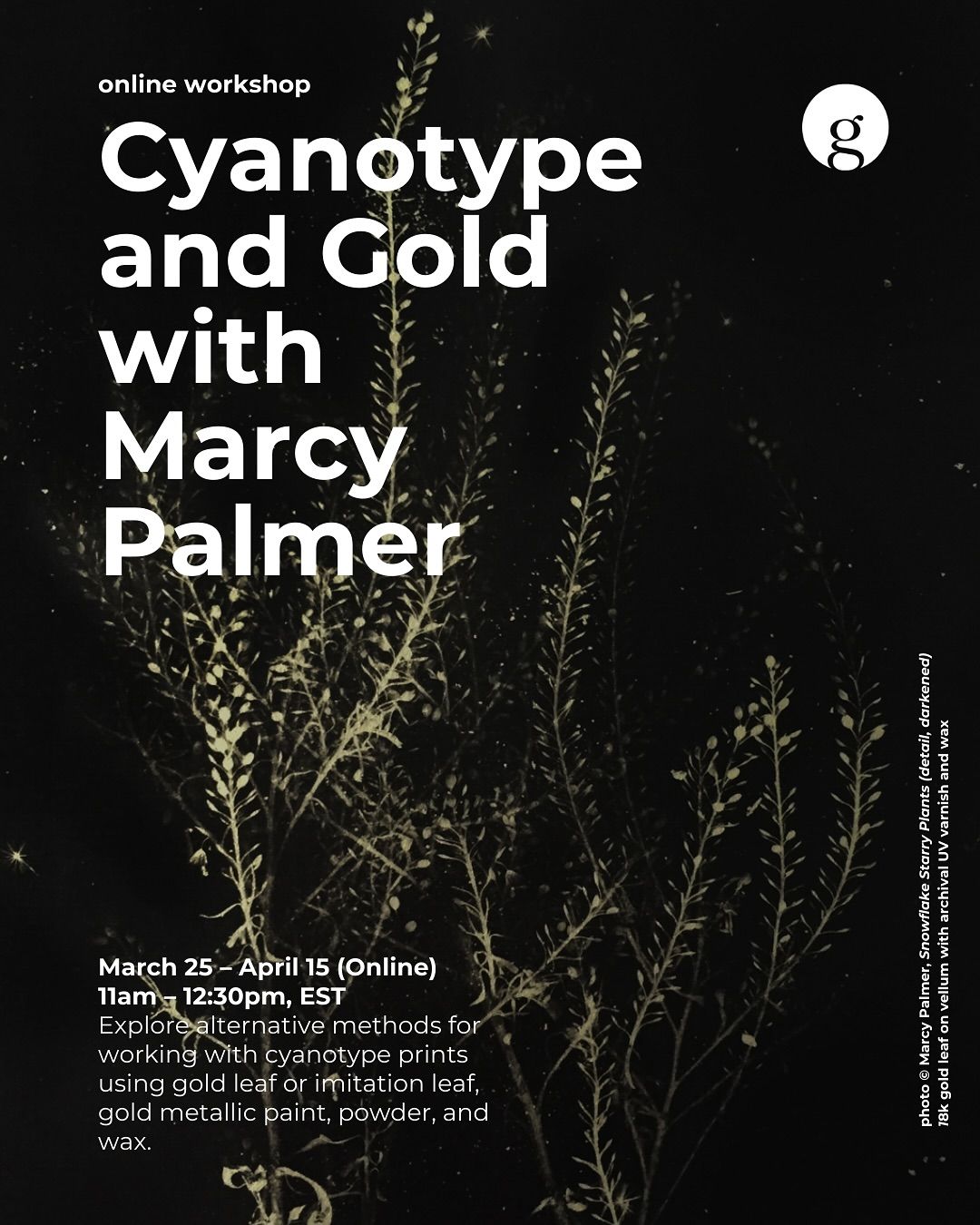 Gold and Cyanotype Workshop with Marcy Palmer