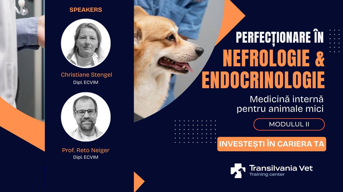 CURS: Nefrologie & Endocrinologie