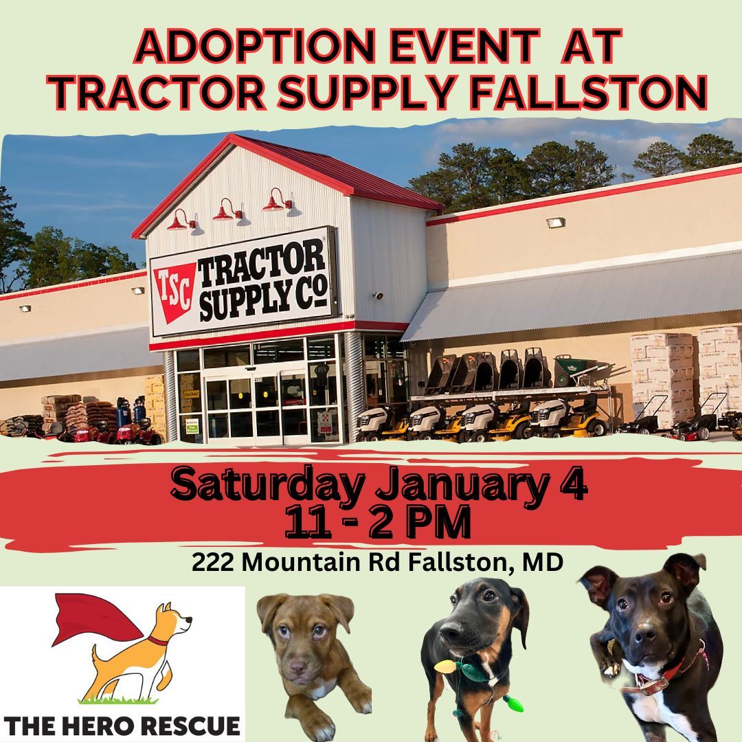 Adoption Event at Tractor Supply