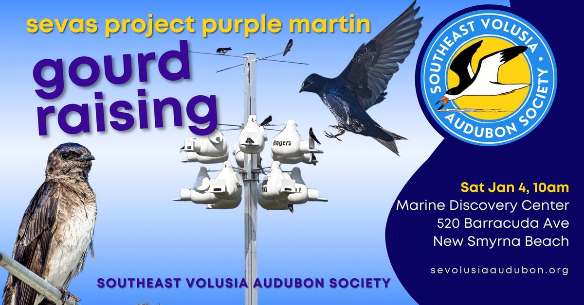 PROJECT PURPLE MARTIN Annual Gourd Raising!