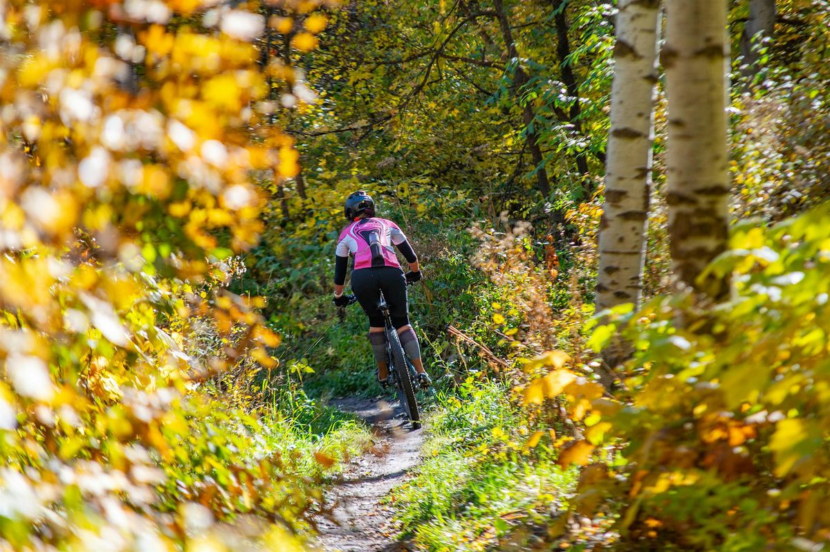 Adult Beginner MTB Clinic