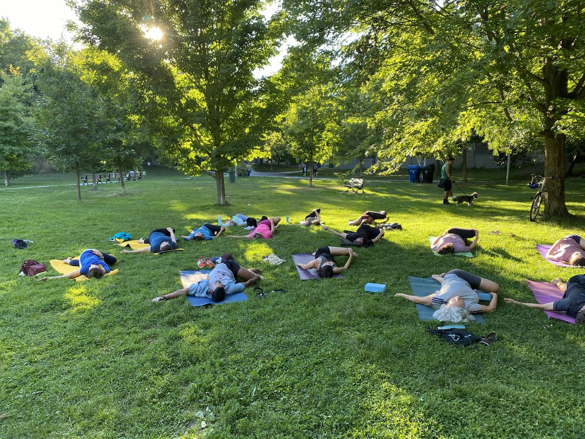 Yoga in the Park | Flow & Restore at Bickford Park