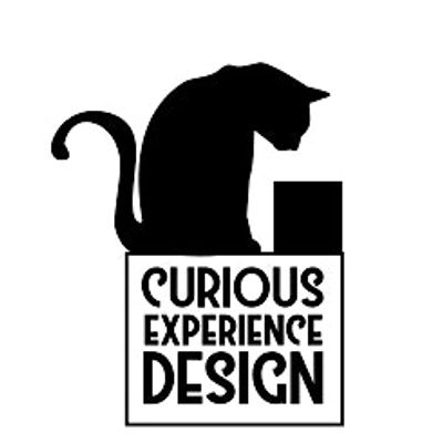 Curious Experience Design