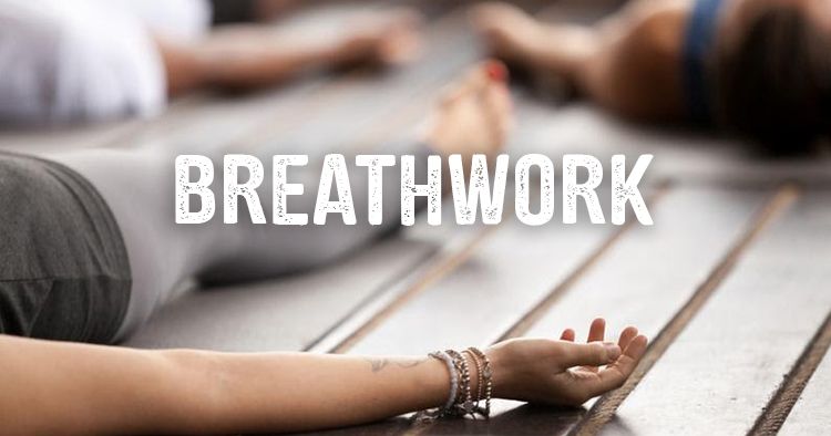 calm in the chaos:  a journey to stress reduction and nervous system regulation through breathwork