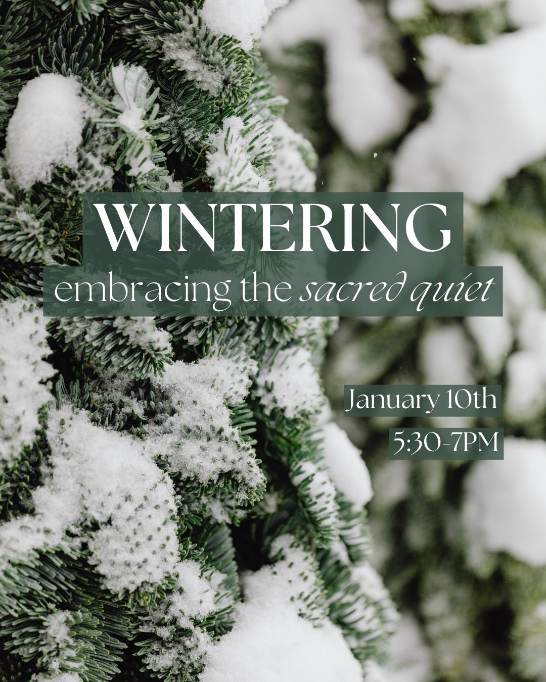 Wintering Workshop: Embracing the Sacred Quiet