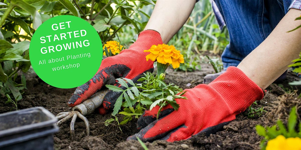 Get Started Growing  - Planting Skills Workshop